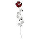 Rote Rose 40 cm Bagutta Gastgeschenk s1