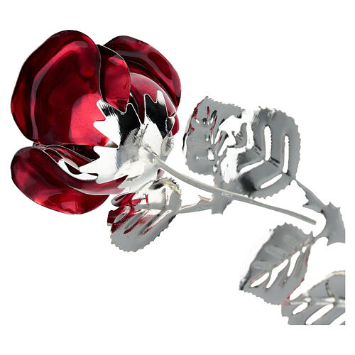 Red rose, 15 in, Bagutta favour 3