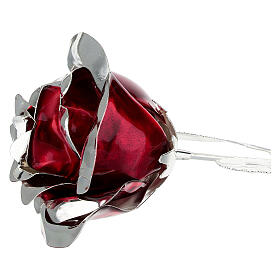 Rote Rose 30 cm Bagutta Gastgeschenk