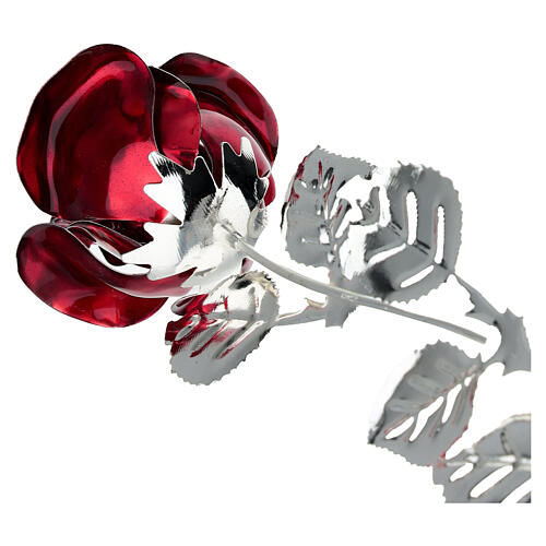 Rote Rose 30 cm Bagutta Gastgeschenk 3