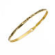 Bangle Bracelet AMEN Song of Songs phrase, Gold finish s1