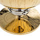 Paten Molina in golden brass with incision s2