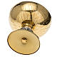 Paten Molina in golden brass with incision s7