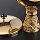 Chalice, ciborium and paten with grapes in gold-plated brass s10