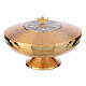 Ciborium in gold-plated brass, low and hammered decor. 18cm s1