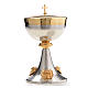 Chalice and Ciborium in silver brass with golden putti s5