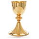 Chalice in brass plate s1