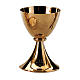 Chalice and paten Molina with grapes and ears of wheat with shiny finish in golden brass s1