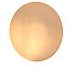 IHS smooth paten gold-plated brass 6 inc diameter s2