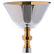 Neoclassical style chalice in brass 9.5 in s2