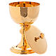Chalice and ciborium in polished golden brass with leaves on junction s4