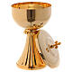 Chalice and ciborium St Germano in golden brass s4