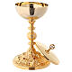 Chalice and ciborium in 24K golden brass with red stones s3