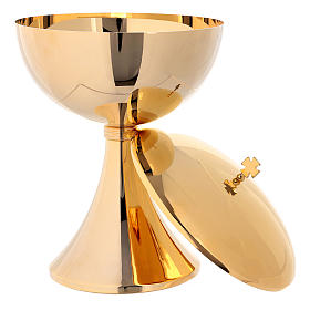 Pisside Magnum concelebrazione 600 particole s3