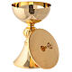 Engraved chalice and ciborium in gold plated brass s5