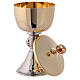 Chalice and pyx with hammered base and knot with red stones s5
