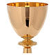 Chalice and Pyx in 24k polished golden brass with cast knot s3