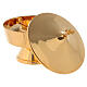 Intinction set of gold-plated brass 15 cm s2