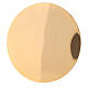 Patena liscia ottone dorato lucido 24k 12 cm s2