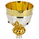 Chalice Lily brass knot crown of thorns h 25 cm s2