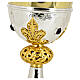 Chalice Lily brass knot crown of thorns h 25 cm s5