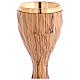 Large olivewood chalice, twelve-sided twisted body, gold plating, h 8 in s3