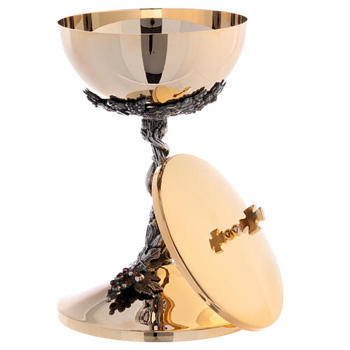 Set of chalice and ciborium, braided vine with grapes and red rhinestones 8