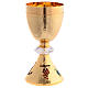 Jubilee Pilgrims of Hope Chalice in golden crystals with chalice holder s6