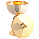 Ciborium two-tone gold grape node Pax stippled effect 25 cm s6