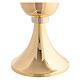 Glossy golden brass chalice with simple node s3