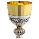 Handcrafted Chalice Symbols of Passion, 21 cm s5