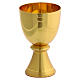Pisside due specie ottone dorato 20 cm s3