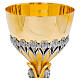 Calice ultima cena cesellato coppa argento finitura due colori 25 cm s3