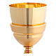 Gold nickel-plated chalice and ciborium with brushed finish s3