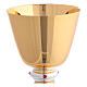 Golden Chalice and Ciborium Cross and Wheat with Red Gems s3