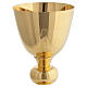 Set liturgico calice, pisside e patena offertoriale Molina ottone dorato decoro arco s2