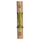 Paschal candle in beeswax with support with green Resurrected Christ 8x120cm s1