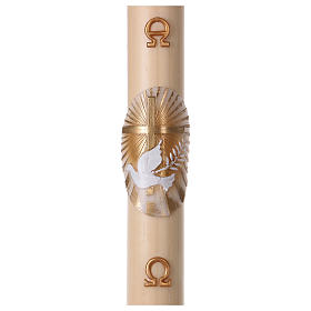 Paschal candle in beeswax with Cross and Dove 8x120 cm