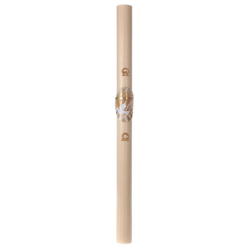 Paschal candle in beeswax with Cross and Dove 8x120 cm 4