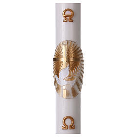 Paschal Candle with Gold Cross and Dove 8x120 cm