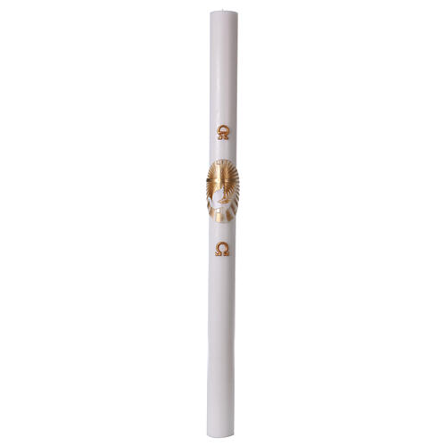 Paschal Candle with Gold Cross and Dove 8x120 cm 4