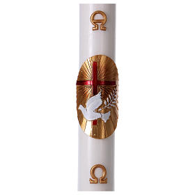 Paschal candle in white wax with red Cross and Dove 8x120 cm