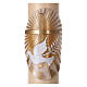 Paschal candle in beeswax with Cross and Dove 8x120 cm with support s5