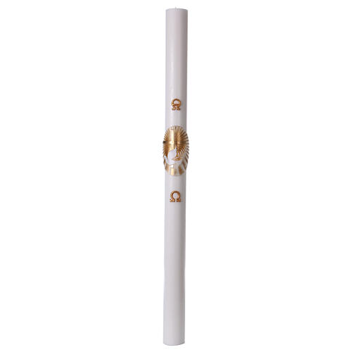 Paschal candle in white wax with Cross and Dove 8x120 cm with support 4