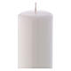 Candelotto Liturgico Lucido Ceralacca 20x6 cm Bianco s2