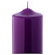 Altarkerze mit violettem Lack überzogen, glänzend 24x8 cm s2