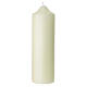 Candle with green cross leaf grass 16.5x5 cm s3