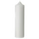 Eucharistic candle with green leaves 21.5x5 cm s4