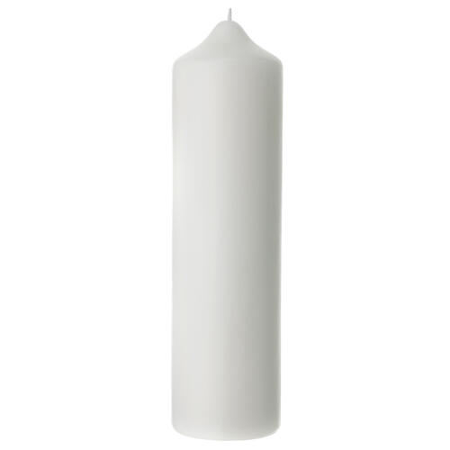 Eucharist candle with green leaves 215x50 mm 4