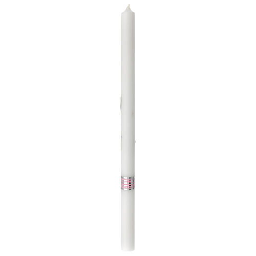 Cero XP calice rosa Cresima 500x30 mm 3